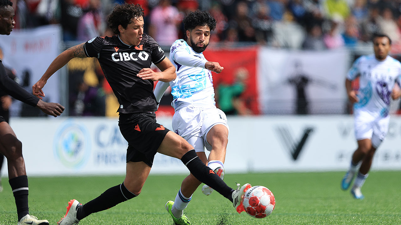 Photo credit: Ali Arabpour